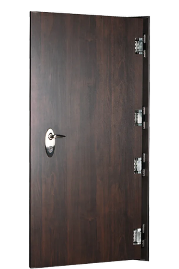 FE60 high security door