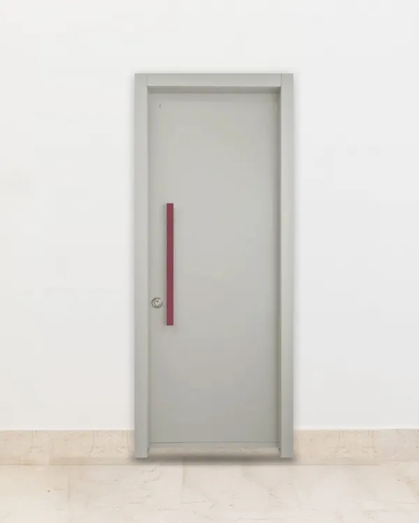 Model 507 security door